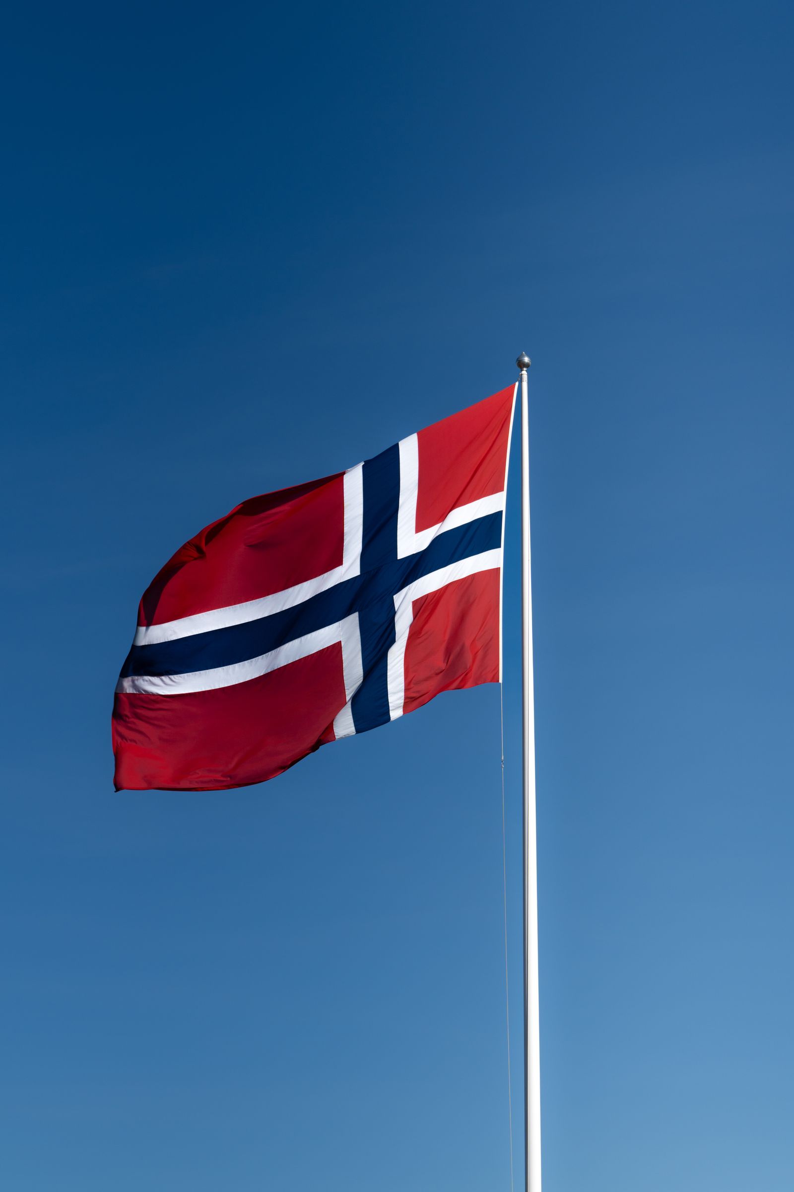 Skål ved langbordet i hagen